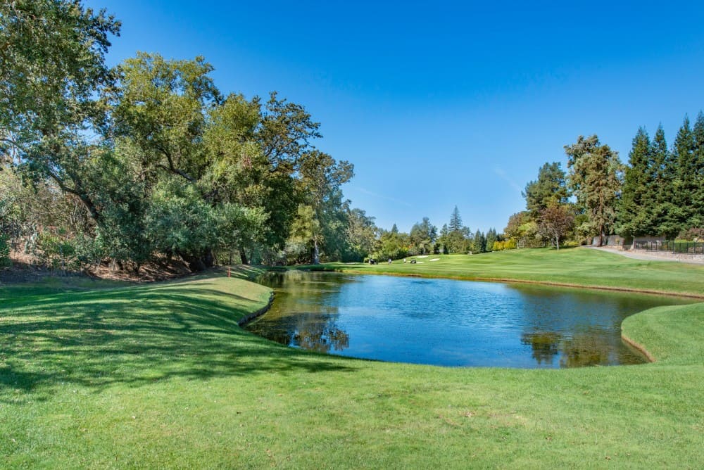 Zones à pénalité golf : les règles essentielles pour 2026