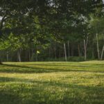 Wedging au golf : maitrisez le petit jeu et transformez vos scores