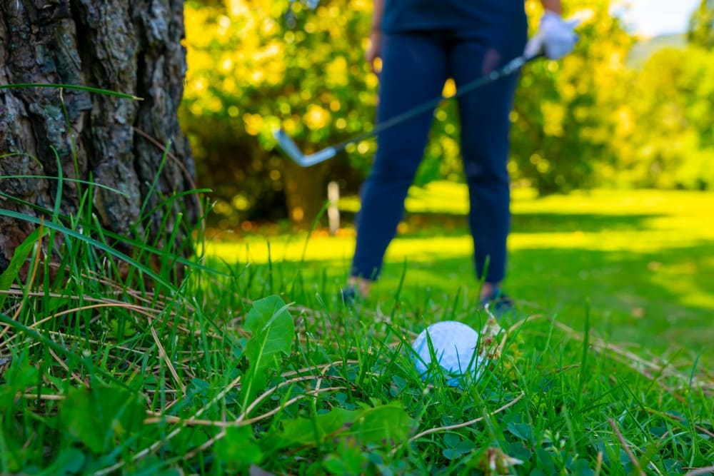 Exemple d'une golfeuse cherchant sa balle en zone hors limite golf au pied d'un arbre