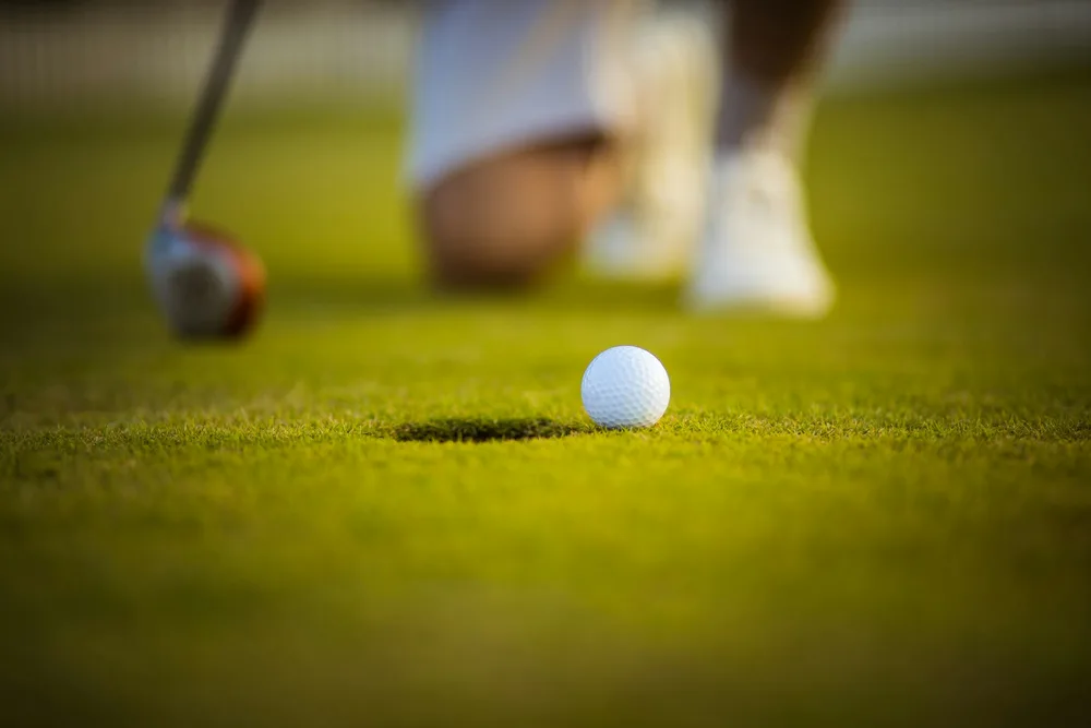 Vue rapprochée d'un green de golf montrant le grain de l'herbe et la texture qui influencent la vitesse de roule